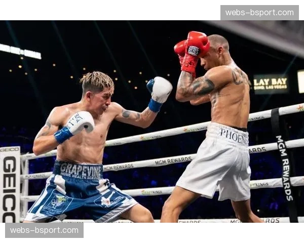 “特写：第七回合铃声响起前，戴维斯以一记隐蔽的勾拳击倒对手”