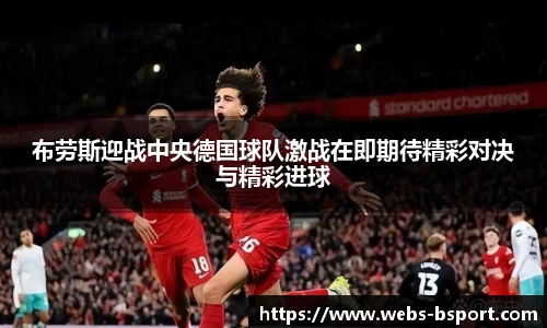 B体育