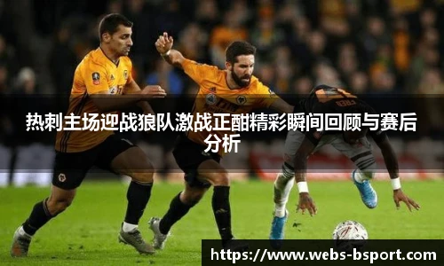 热刺主场迎战狼队激战正酣精彩瞬间回顾与赛后分析